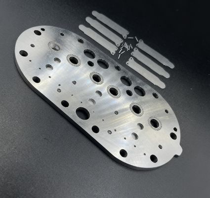 15P コップランド 冷蔵コンプレッサー バルブプレート組立 & 冷蔵庫冷凍庫のためのバルブキャッド